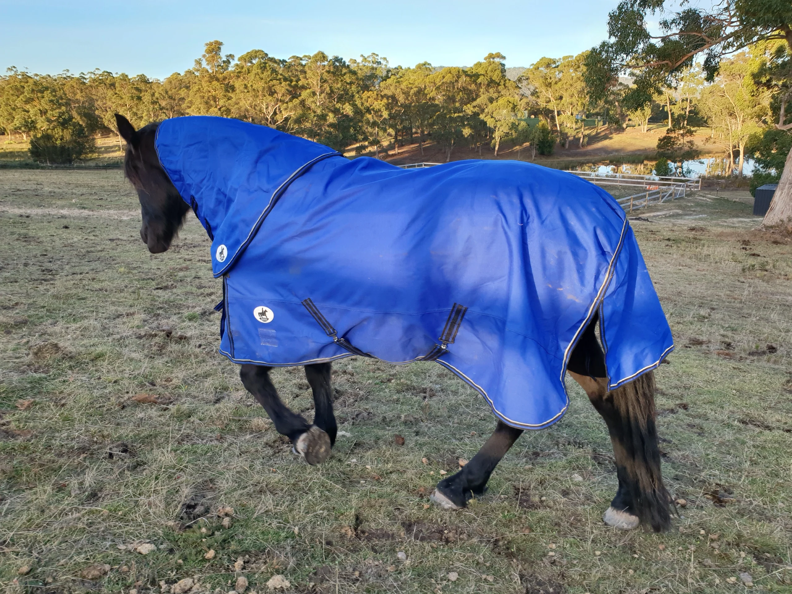 Cool Heat Neck Rug - Image 3