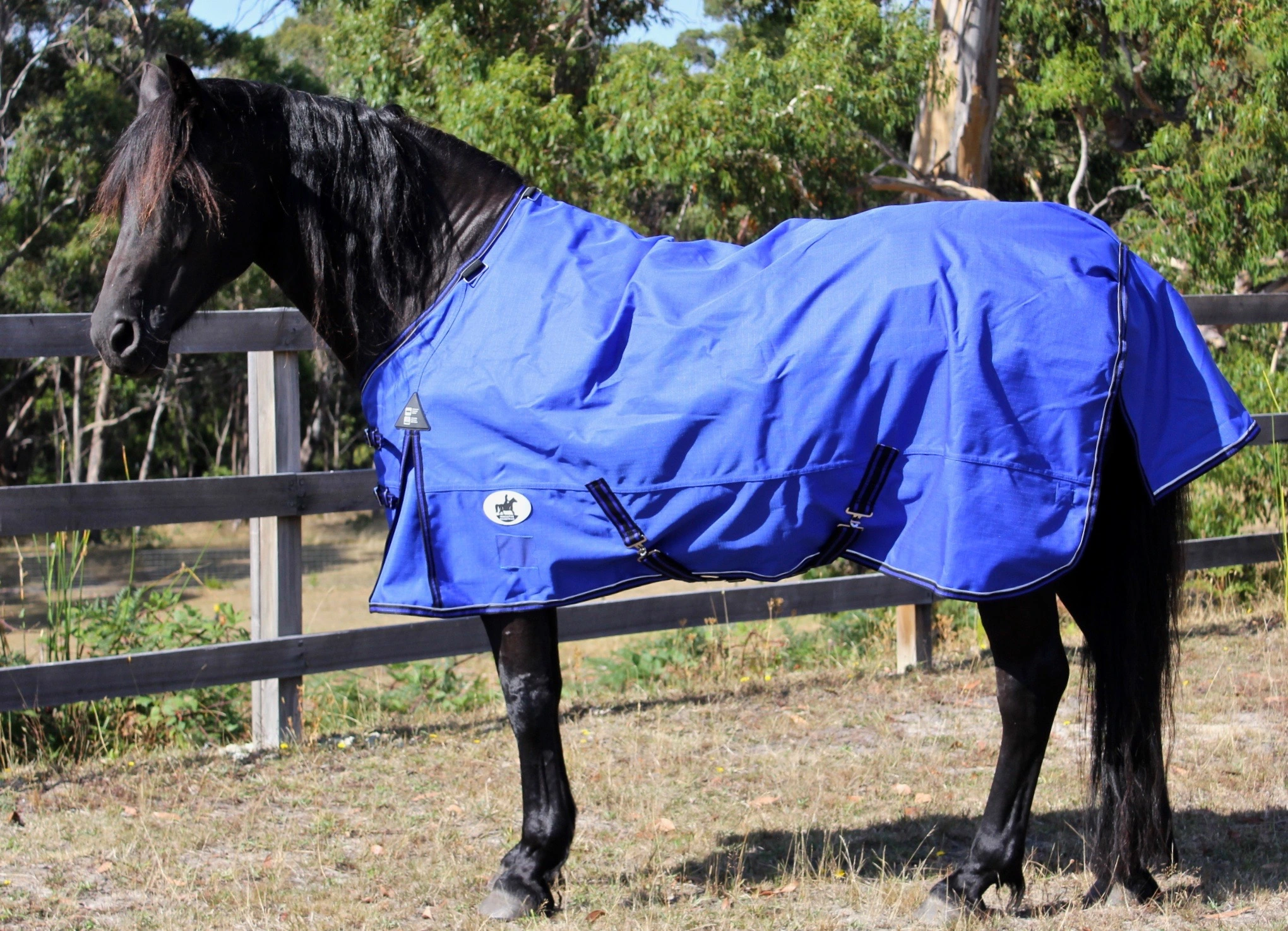 Cool Heat Horse Rug - Image 3