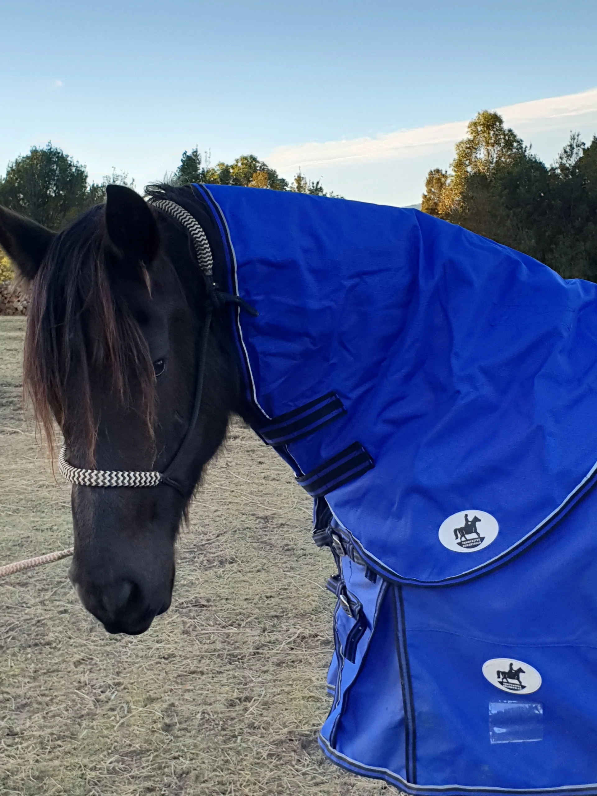 Cool Heat Neck Rug - Image 2